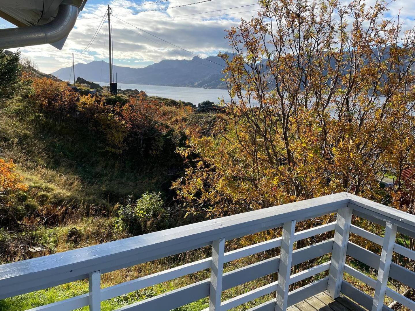 Vettinghytta, Close To The Sea With Amazing View. Gravdal  外观 照片