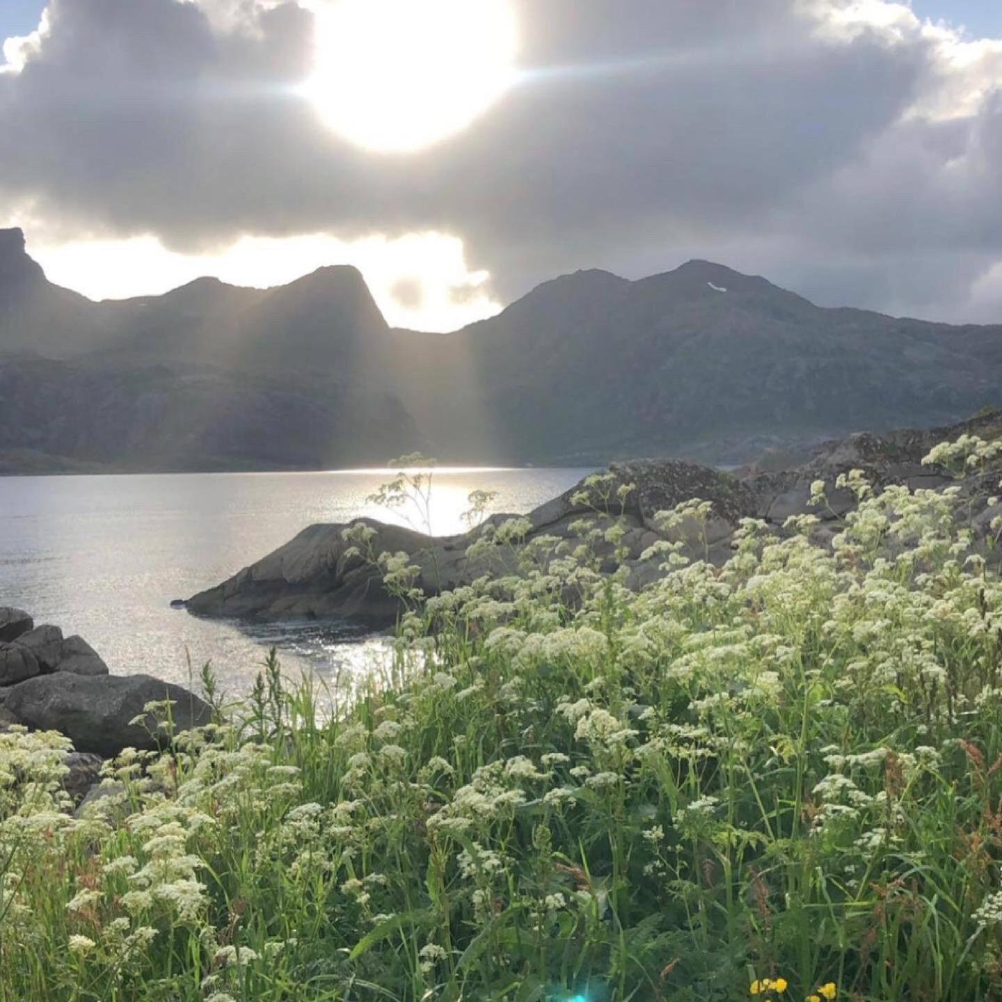 Vettinghytta, Close To The Sea With Amazing View. Gravdal  外观 照片